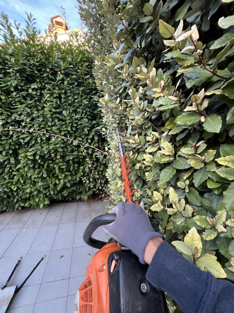 services paysagers, Les Compagnons Paysagistes propose création, entretien, élagage, piscines et nettoyage extérieurs. Interventions à Nîmes, Uzès, Sommières, Vaunage et alentours.